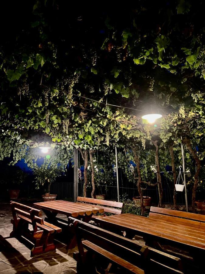 Danya Country Villa 圣塞波尔克罗 外观 照片